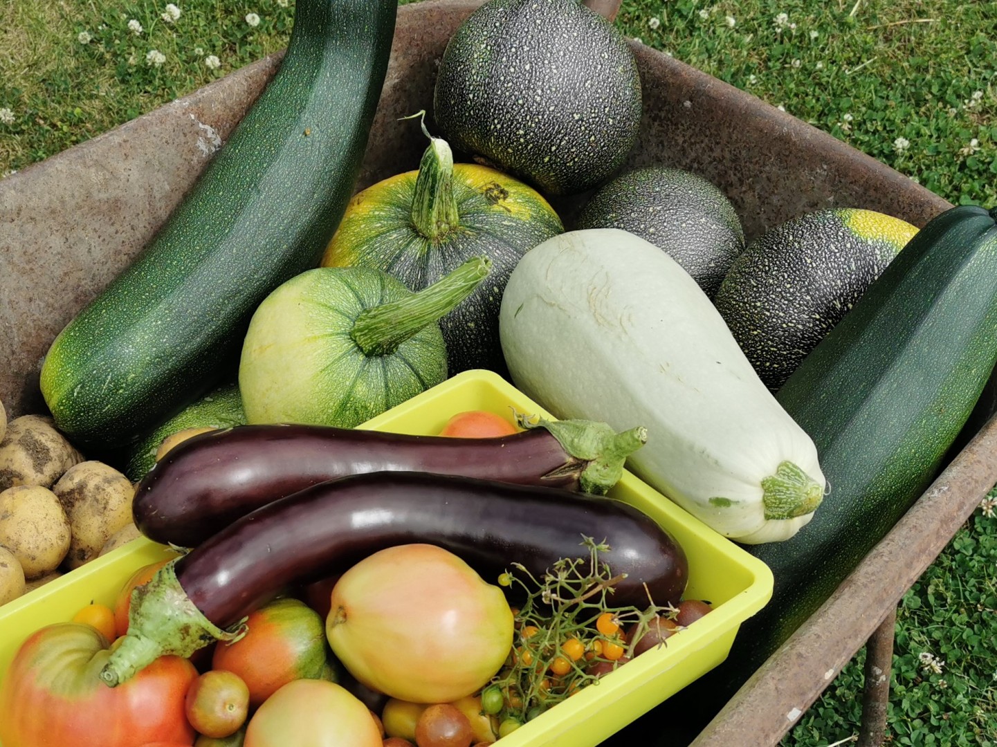 0878a58f062e3d3abe0d8afa690a8b34