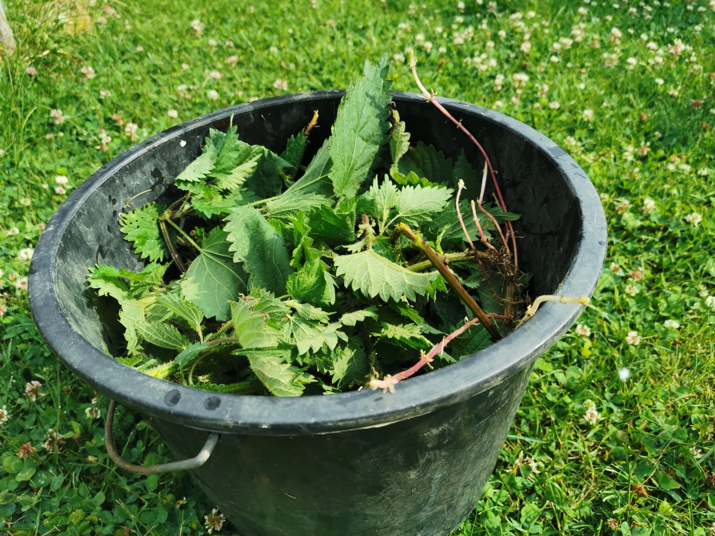 890b3f4da53110daebbacd12b3c1f391