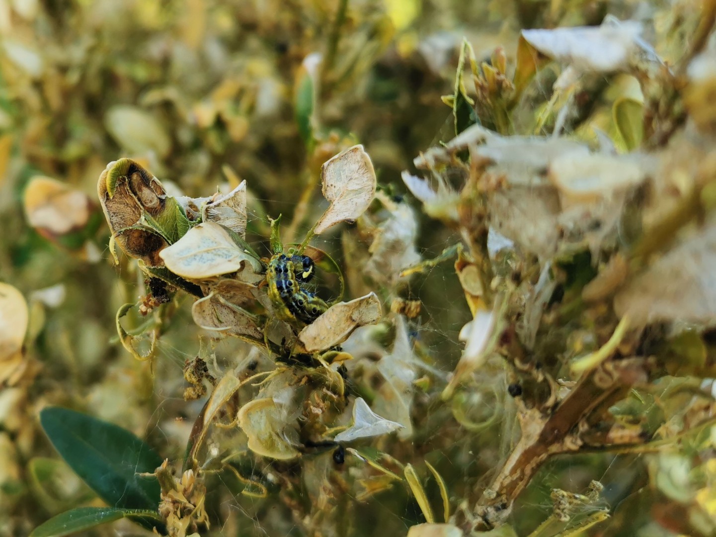 ba484aa1c0a4551b8f986e5e99af71f8