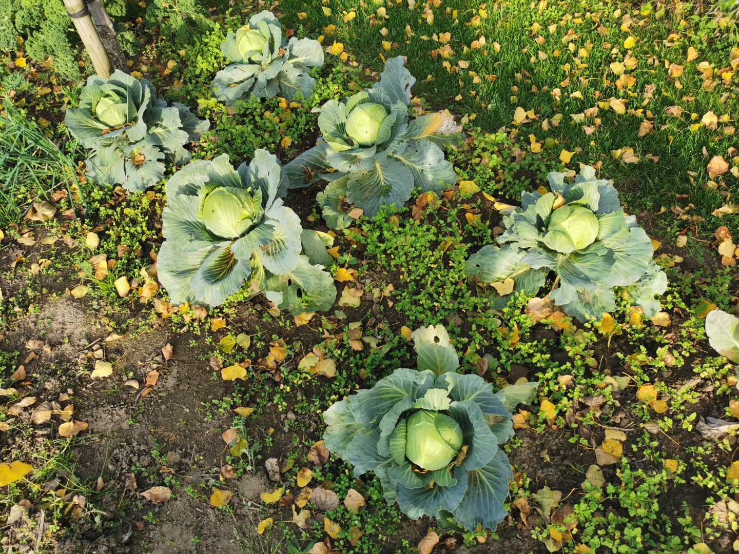 c6529f9a977ed632cee76132ca8fdc1e