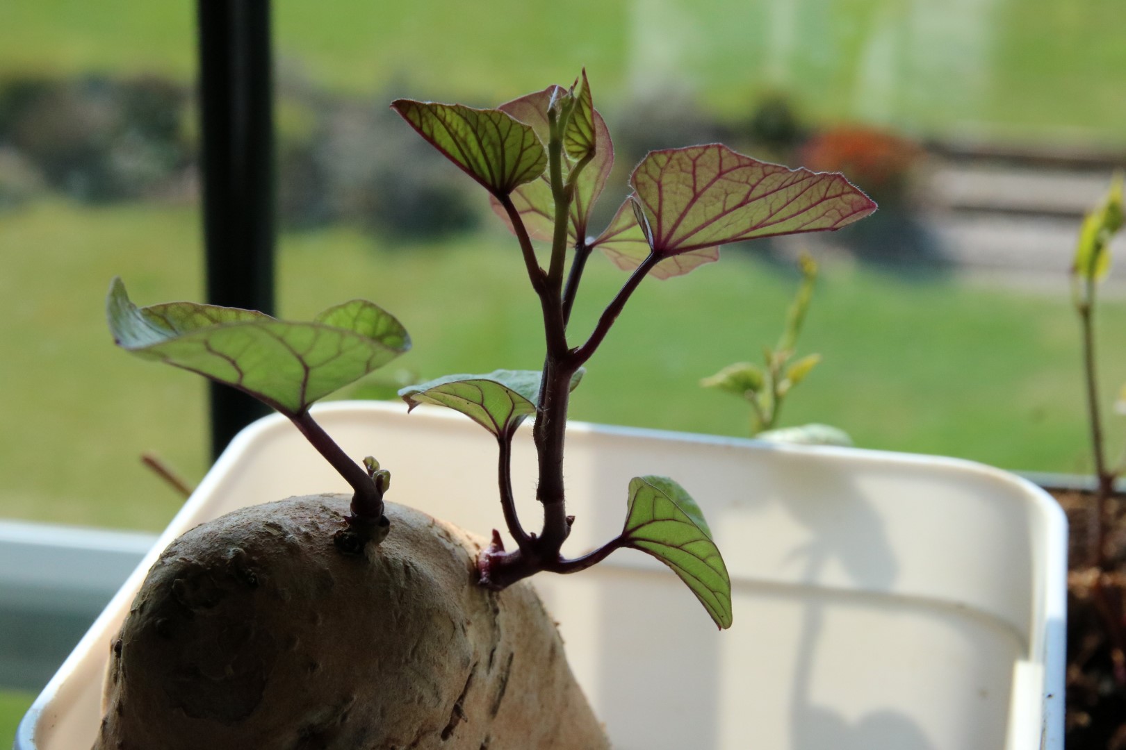 c6aba40a6a0dbe3987b999453e470ca2