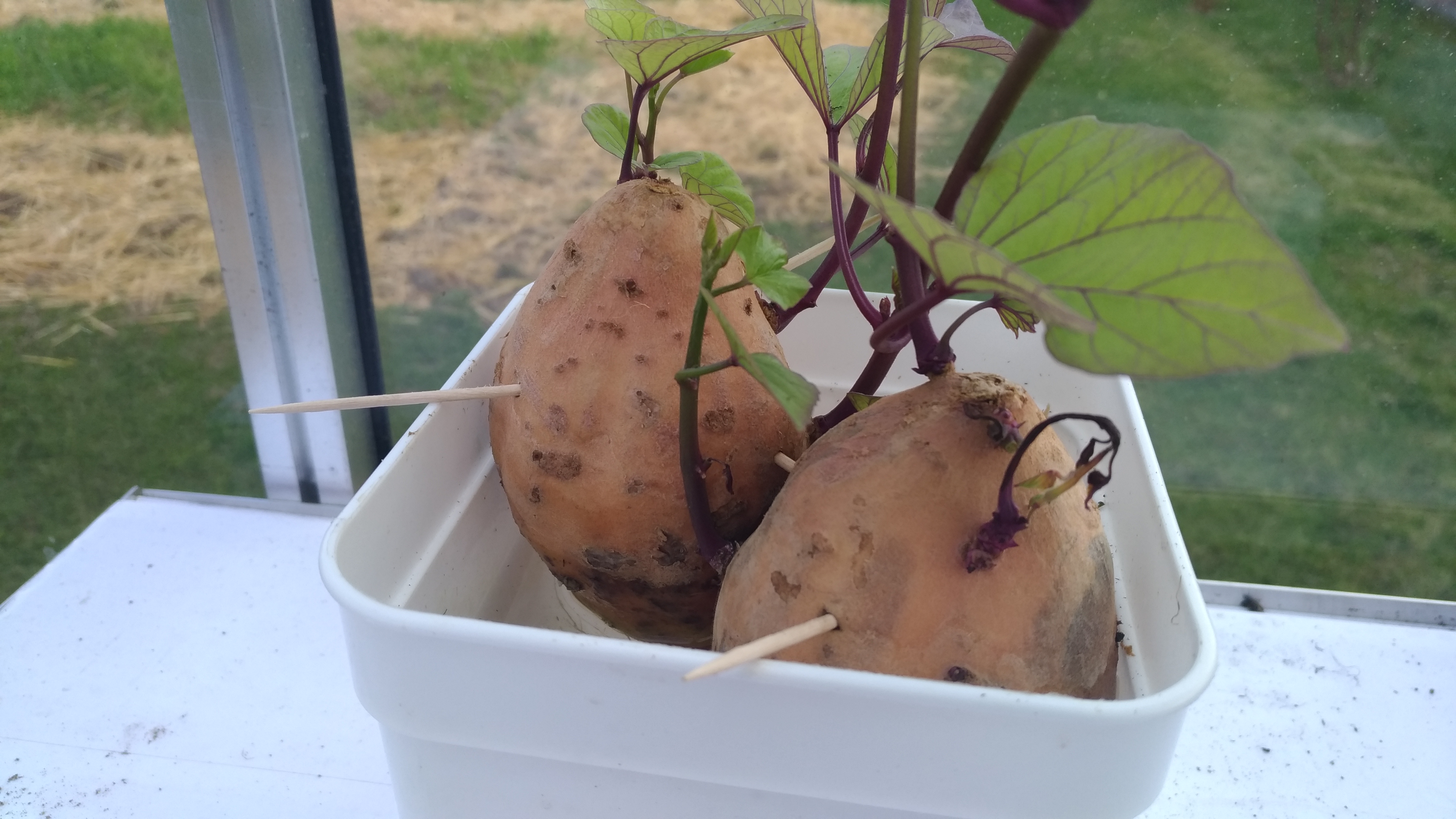 d4e5aa0cc30c38cda2910cc866c30840