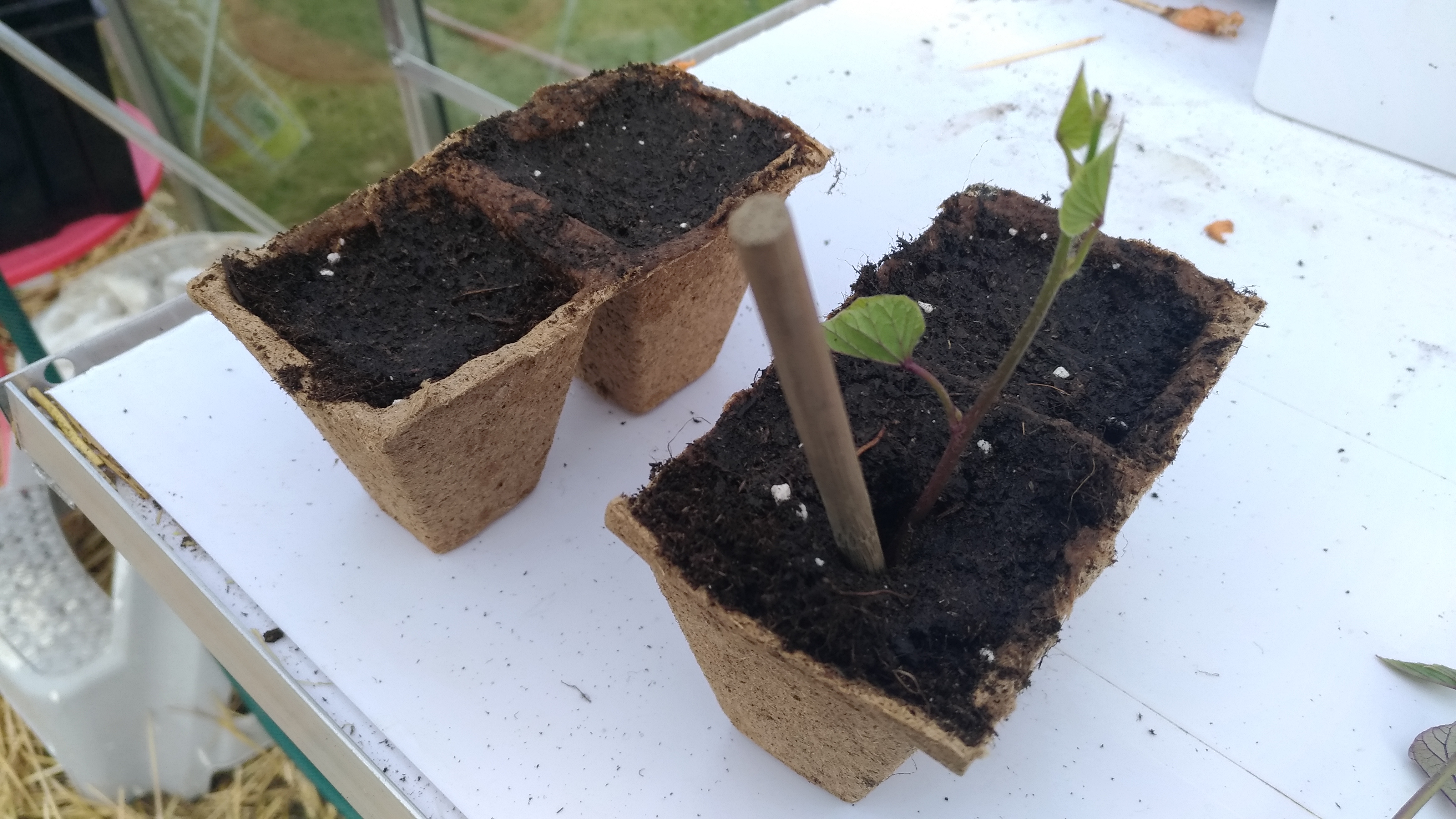 e3c722eb3d2553761132f0fe5d7aa7ae